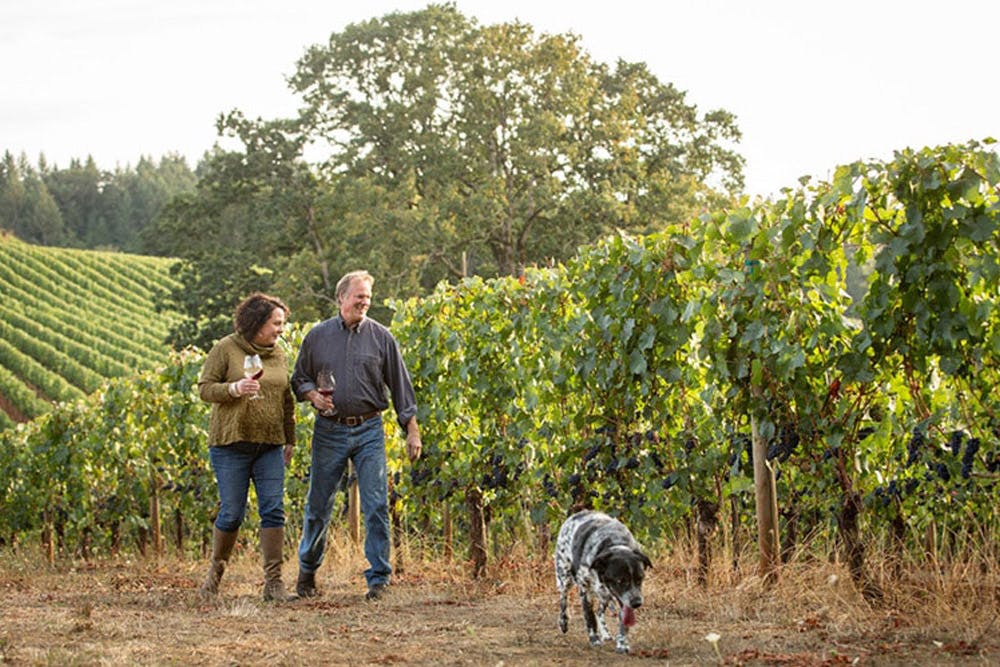 A couple walking through a vineyard with a dog, holding wine glasses and enjoying the view of grapevines and rolling hills.