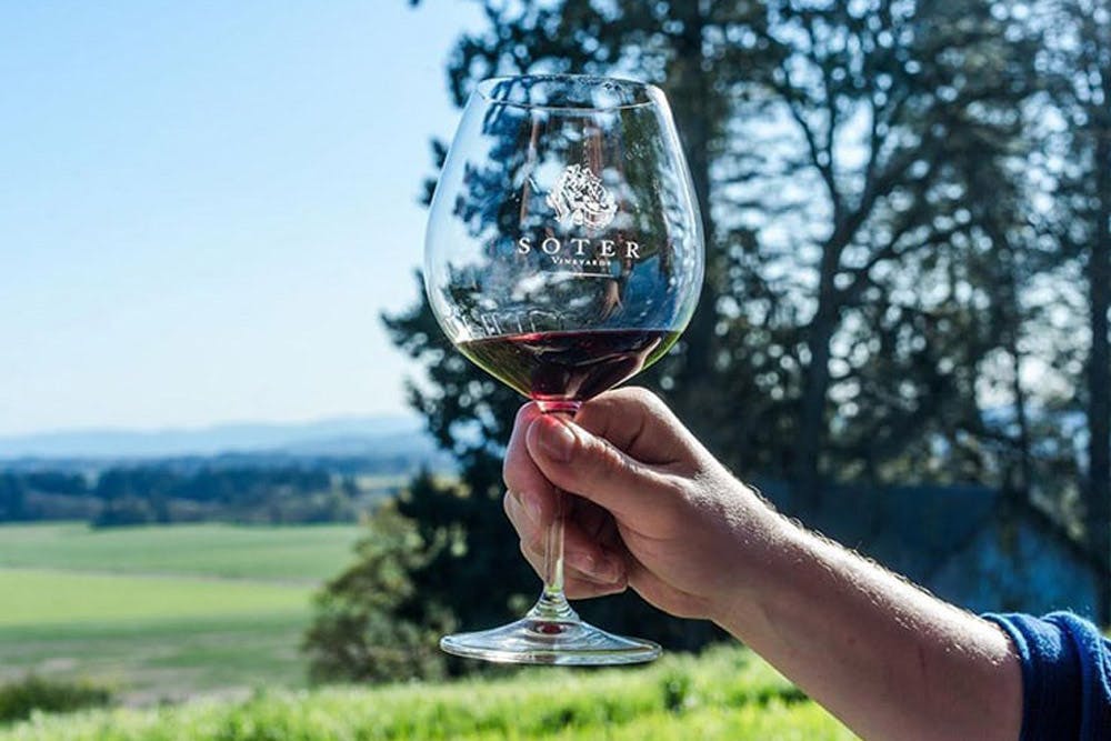 A hand holding a glass of red wine with the "Soter Vineyards" logo, set against a backdrop of a scenic countryside and clear blue sky.