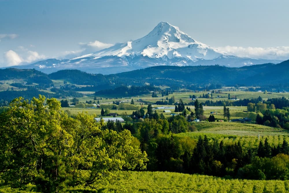 Snow-capped mountain rises above lush green valleys and orchards.