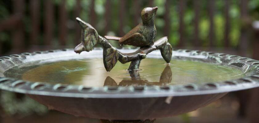A bronze bird perched on a leafy branch within a birdbath filled with water.