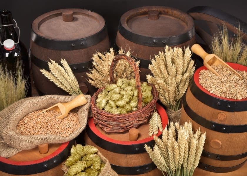 A collection of wooden barrels surrounded by grains, hops, and stalks of wheat. A collection of wooden barrels surrounded by grains, hops, and stalks of wheat.
