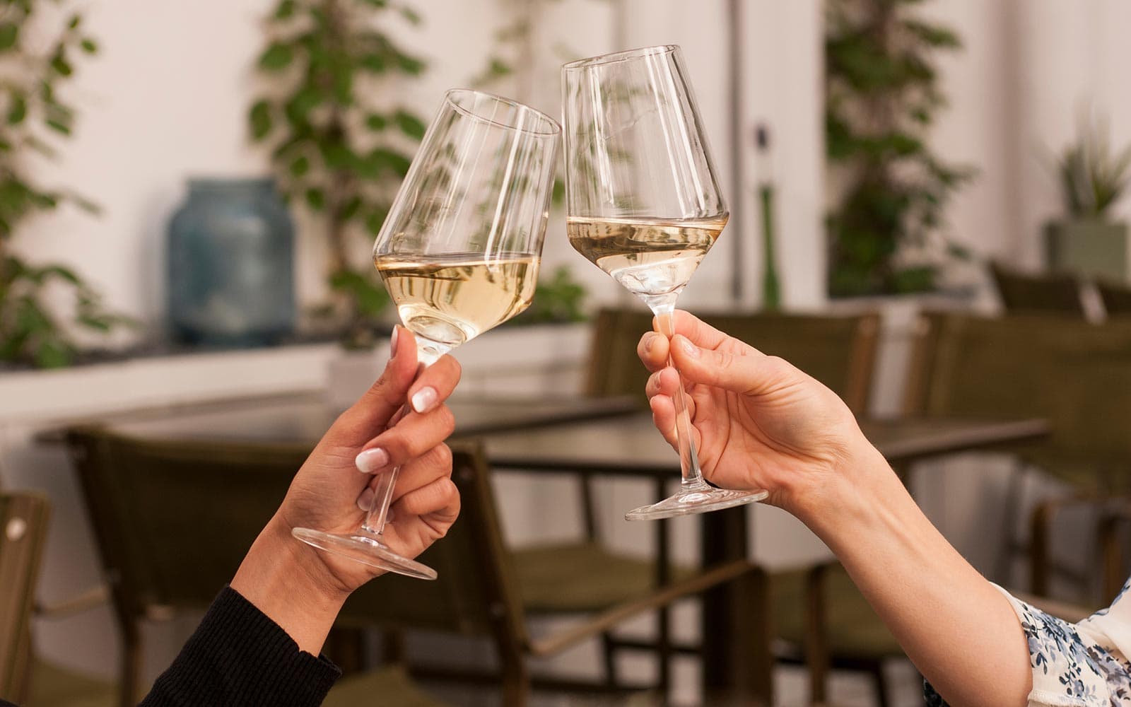 Two hands clink wine glasses filled with white wine in a cozy setting.
