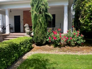 A well-manicured front yard featuring a lion statue, vibrant rose bushes, and neatly trimmed hedges.