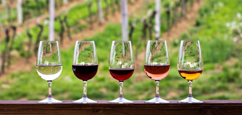 Five glasses of various wines are lined up in front of a vineyard backdrop.