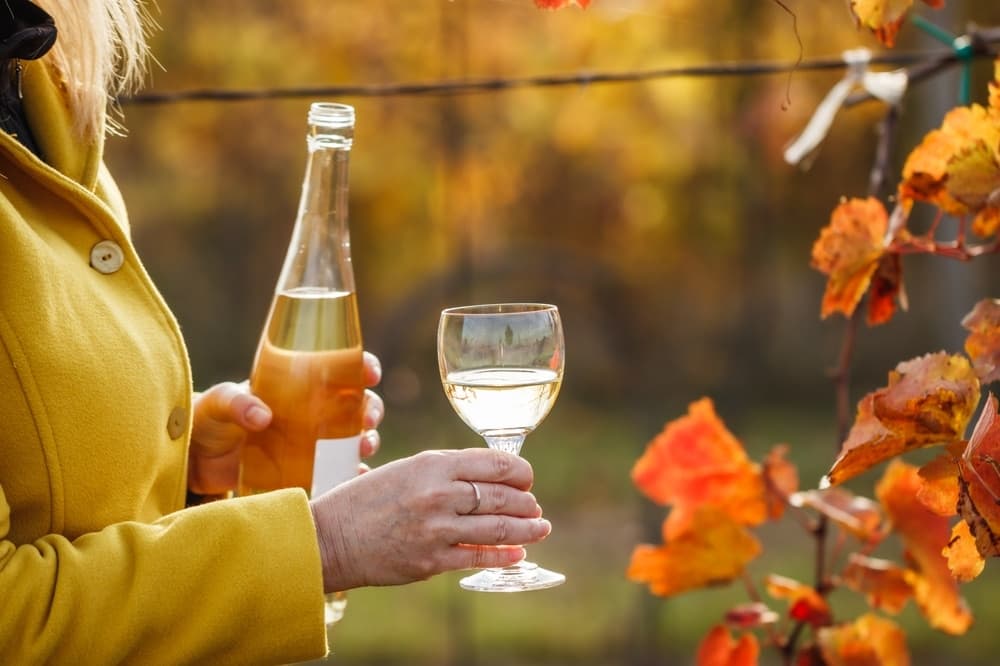 A person in a yellow coat holds a glass of wine and a bottle in a vineyard with autumn foliage.