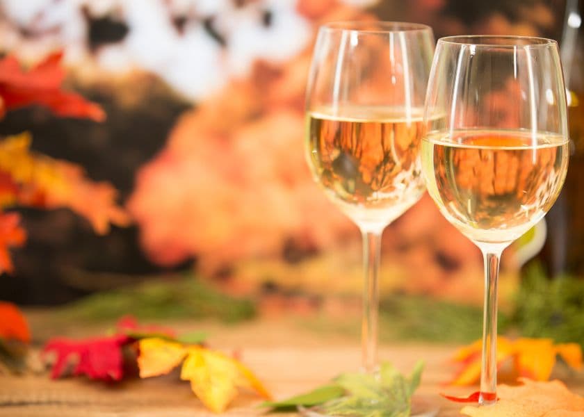 Two glasses of white wine surrounded by autumn leaves during a fall Oregon wine country getaway near McMinnville.