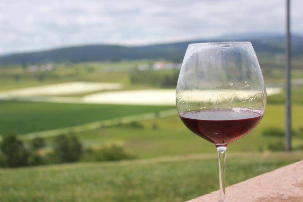 Wine tasting in Oregon is one of the best things to do in the Willamette Valley this summer