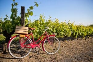 Bike resting near a vineyard just off the Willamette Valley Scenic Bikeway