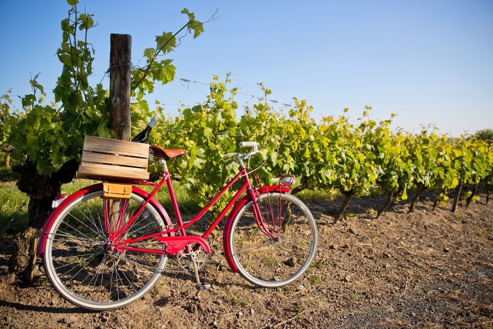 Bike resting near a vineyard just off the Willamette Valley Scenic Bikeway